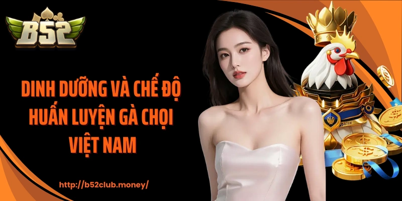Dinh dưỡng và chế độ huấn luyện gà chọi Việt Nam